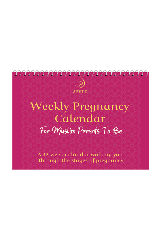 Weekly Pregnancy Calendar (Pre-Order)